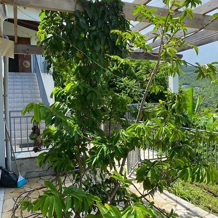 Bas De Villa Courbaril 波尔兰特 外观 照片