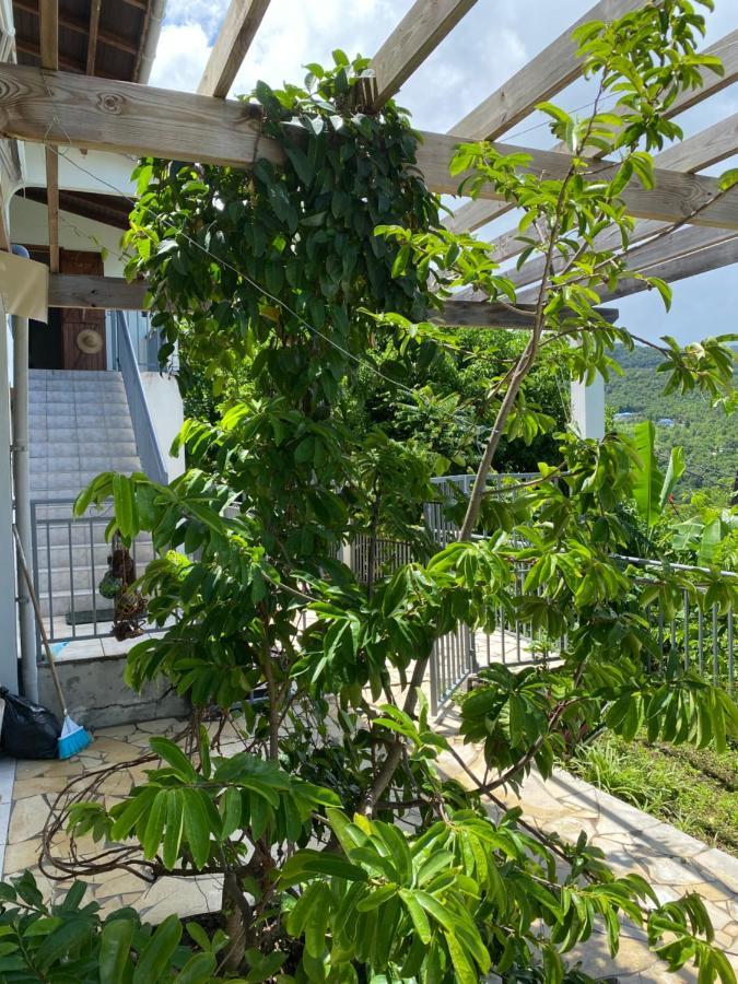 Bas De Villa Courbaril 波尔兰特 外观 照片