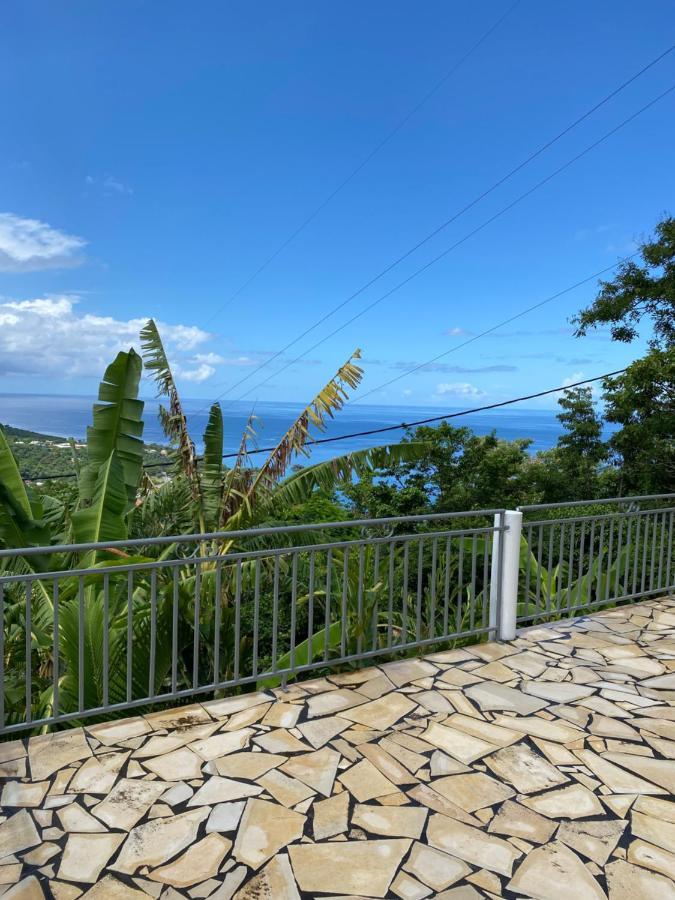 Bas De Villa Courbaril 波尔兰特 外观 照片