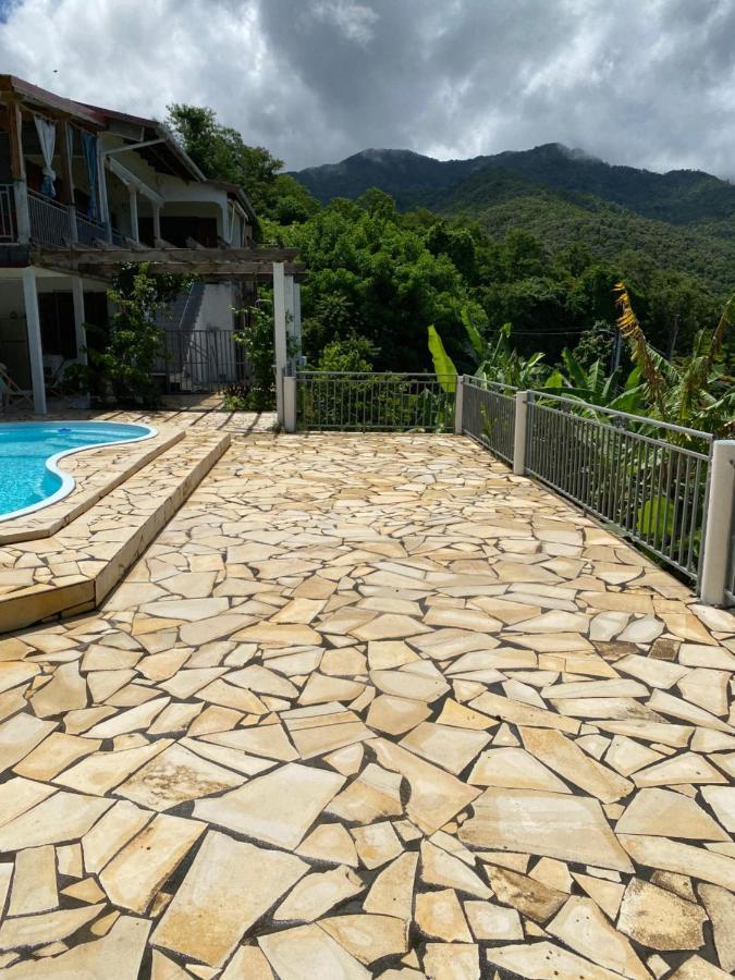 Bas De Villa Courbaril 波尔兰特 外观 照片